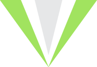 Visual Authority Logo
